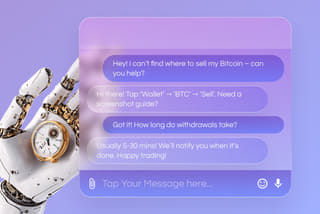 Professional crypto customer support and assistance at Talvo Proventorio